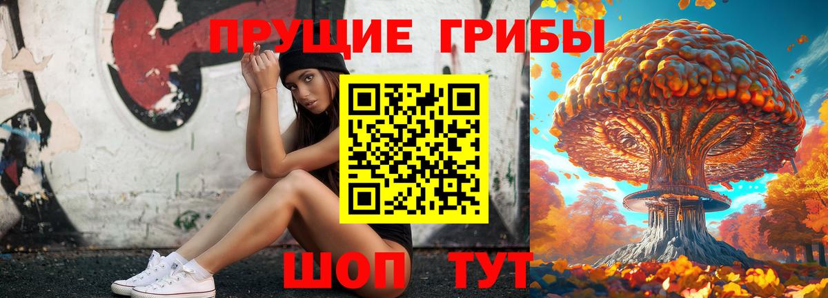 закладка  Вход с VPN  Егорьевск  Галлюциногенные грибы Psilocybine cubensis 